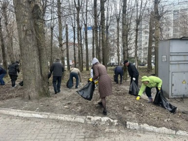 Автопредприятие администрации города совместно с комитетом культуры и туризма Курска убрали территорию за ТЦ «Дом Мебели» в районе проспекта Хрущева, 1 «б»