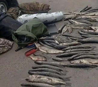 � ������� ������� ����� ��������� ������� ����� 80 �� ����