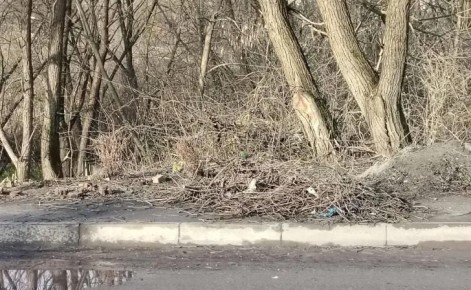 В Курске на ул.В.Казацкая после расчистки ливневки образовалась мусорка