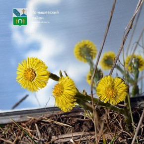 ������ ����!. �������, ������� � ������������