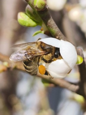 ������ ����!. ������� ����� ������� � ������������