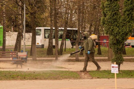 В Курской области в семи экземплярах клещей обнаружены боррелии