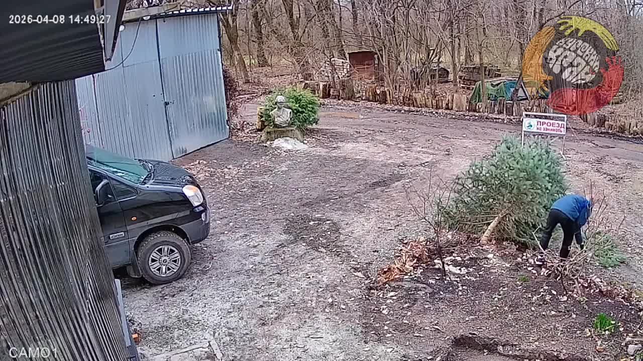 Голубая ель поплатилась жизнью за сообщение о разрушении берега реки Сейм в Курске экскаватором - во всяком случае в этом уверены общественники сообщества "Курский край"