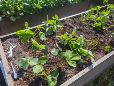 ������� �������� ��������� ��������: ��� �������� ������������ ������ ��� �������� � ����������