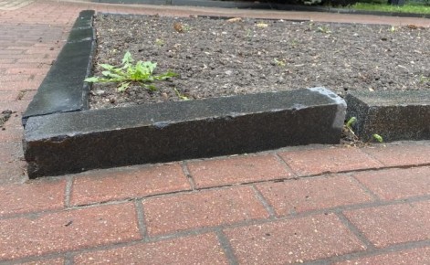 �������� ���������������� ��������� ���� �� ������ ����������� ����� �� ���������