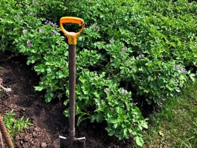 ������� ������ ������ ������ �� ������ ������