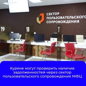 Многие граждане не знают о своих задолженностях — кредитах, налогах, штрафах за скорость, алиментах и других долгах