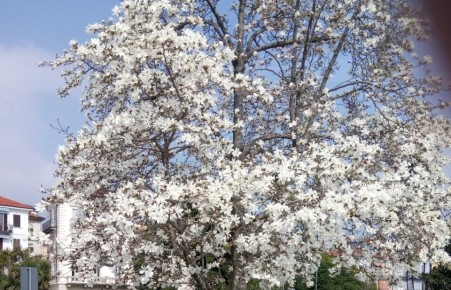 ����������� ��������: ������� ����� � �������� ������