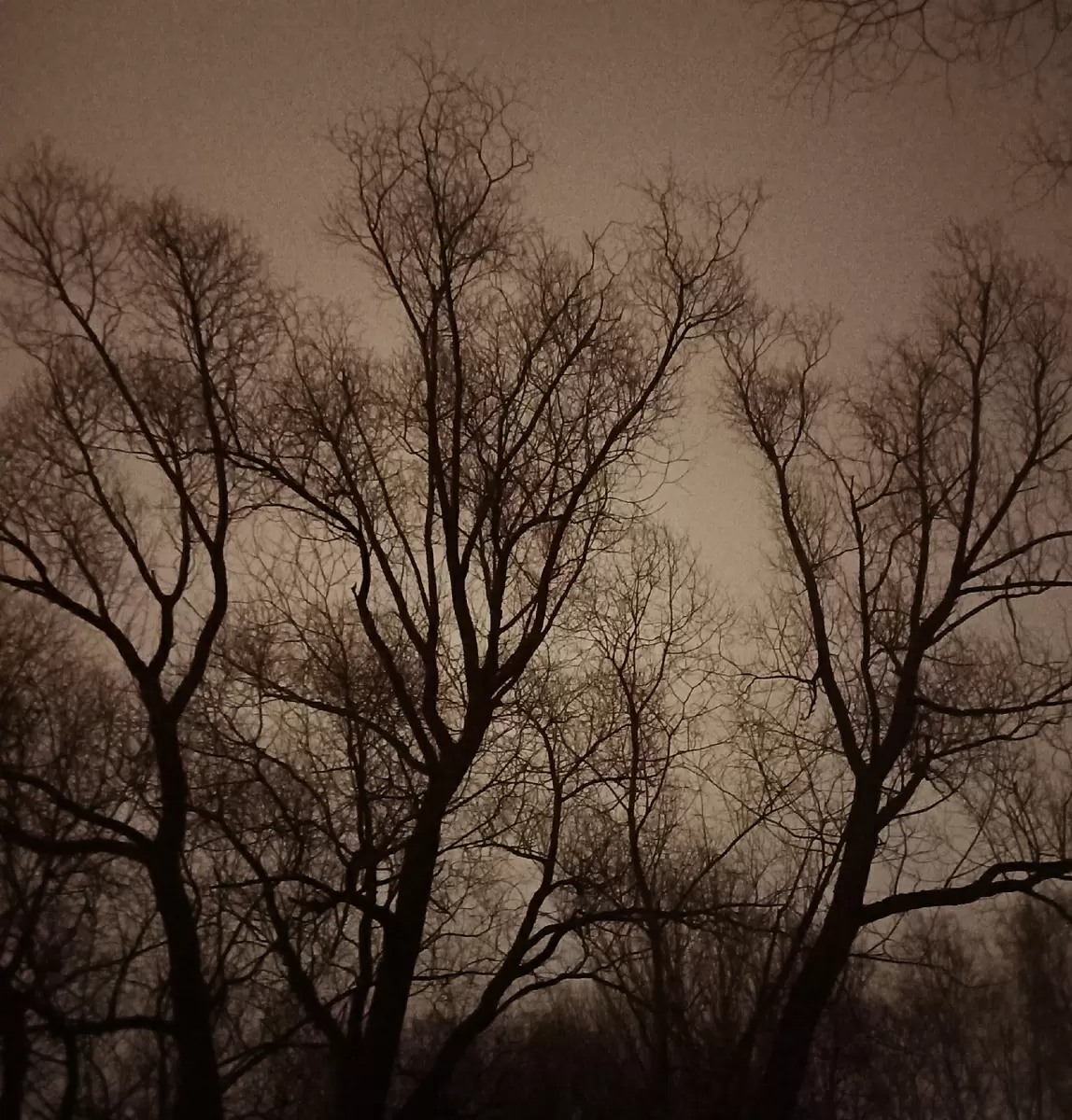 Декабрь в стиле адвента