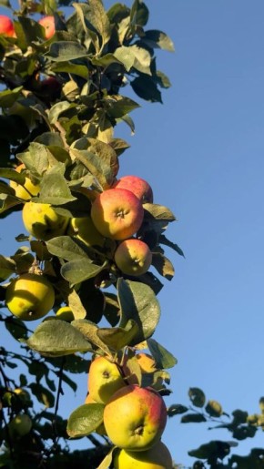 ��� ������� ��������� ���� ��������� ������� ������