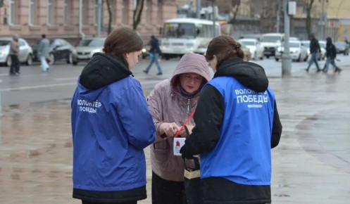 В Курске стартовала акция «Красная гвоздика» для помощи ветеранам