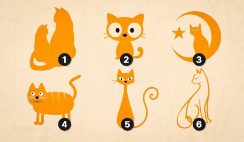 ��� ����� ���� ����� �������� ���� ������� ����� ���������