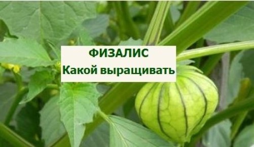 ��� ������� ��������� ���� �������� ��� ������ ����