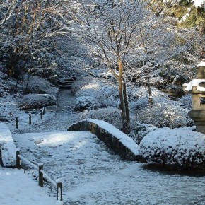 ������ ������ � �����: ��� ���� ����� ��������� ����������� ������