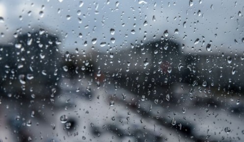 � ������� ������� 11 ������ ��������� ������ ���� � ������� �����