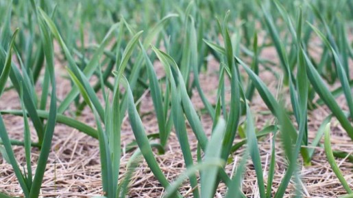 ��� ���������� ������������� ������� ������� ������� �������� ������ � ����� �������