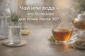Что выбрать после 50: чай или вода для здоровья почек?