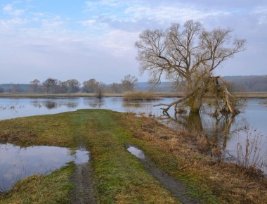 Разлив реки Свапа. Фото: Роман Игнатьев