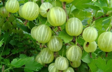 ������� ��������� ����� �� ����������� � �������