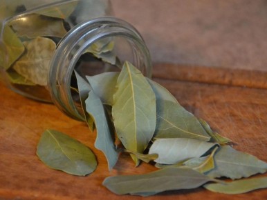 �������� ���� ��� ������������ �������� �� ��������