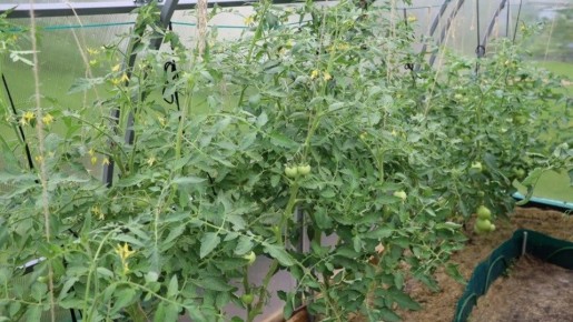 ��� ����������� ������ �� 15 �����: ������� ������������ ������������