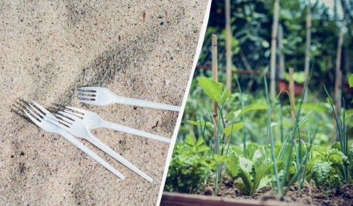 ��� �������������� ����������� ����� ������� ������ �� ���������� � �������� ���������