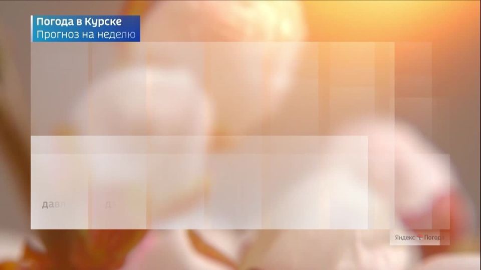 ����� ������ | �������� | MAX