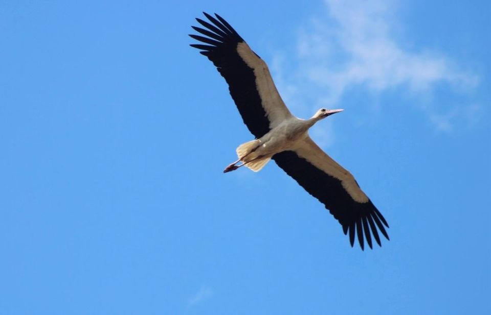 ����� ����� ��������� � ������� �������