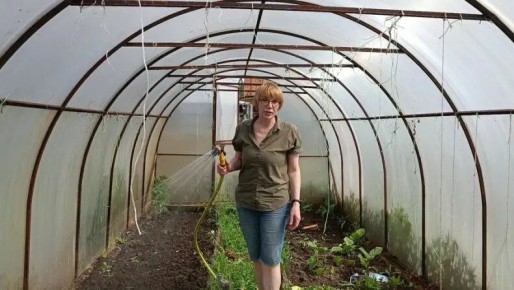 Сотовый поликарбонат: подводные камни использования в теплицах