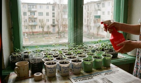 ������ ������� ������� ����� ��������� � ��� � ������?