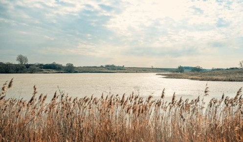 � ������� ������� 13 ������ ������� ����� � ������� � ���������� ������