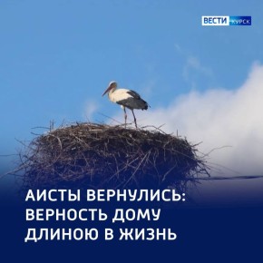 ���� ������ �� �����������: � ������ �������� ������