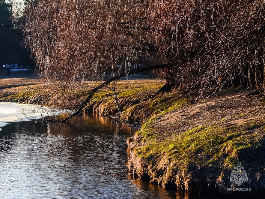 В Курской области утонул мужчина