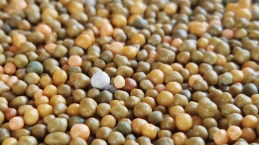 ������� ��� �����: ��� ����� � ����� ������ �� �������� �����