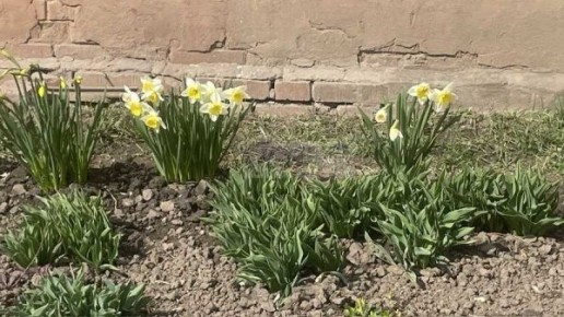 В Курской области 14 апреля ожидаются дожди, порывы ветра и от нуля до +14 градусов