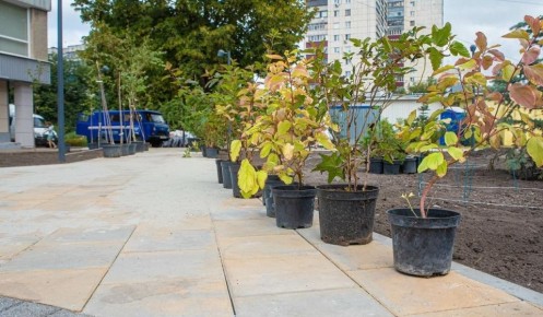 В Железногорске озеленением и уборкой территорий занимается МУП