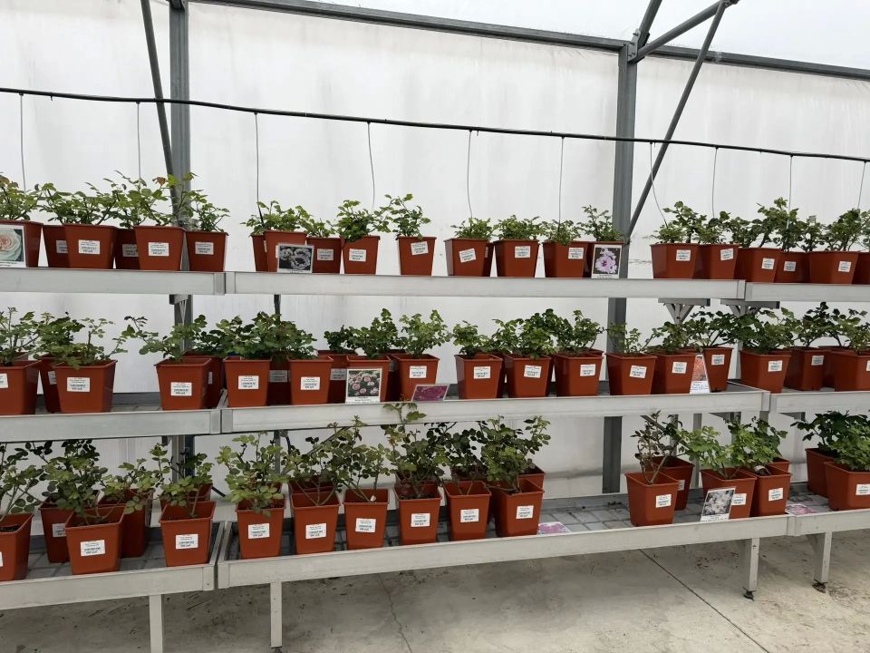 � ������� ����� �������� ������� 450 ������ ���