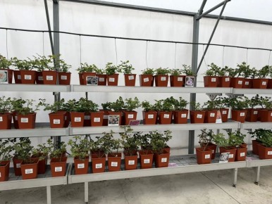 � ������� ����� �������� ������� 450 ������ ���