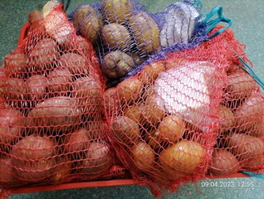 ��� ������������ ��������� ����� �������� ������: ������ ������� ���������