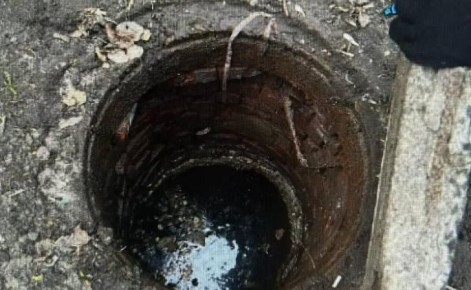 � ������ ����������� ���������� ��������� ������ �����������