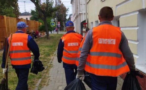 Хинштейн призвал убирать Курск силами городских коммунальщиков