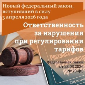 Должностным лицам региональных органов власти в области регулирования цен и тарифов будет грозить дисквалификация на срок до трех лет за неоднократное игнорирование решений ФАС России без альтернативы в виде штрафа