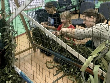 ������ �� ��������������� �����-��������� ���������� ������ ������������� ����