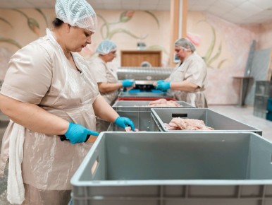 �� �������������� ����������� ��������� ������� ������������� ������������ � �������������