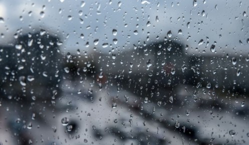 � ������� ������� 15 ������ ��������� �����, ������� ����� � 12 �������� �����