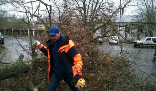 � ������ ������� ���������� ������� ����� �������� �����