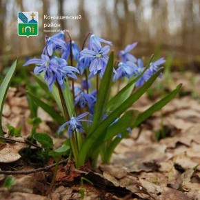 ������ ����!. ������� ������� � ������������