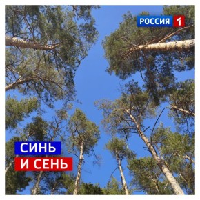 14 апреля, вторник. Сегодня День «Посмотри на небо»