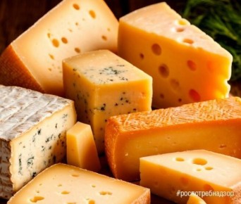 Секреты покупки качественного сыра: как не ошибиться
