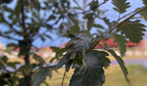 � ������� ������� ���������� ������ ������������� ������